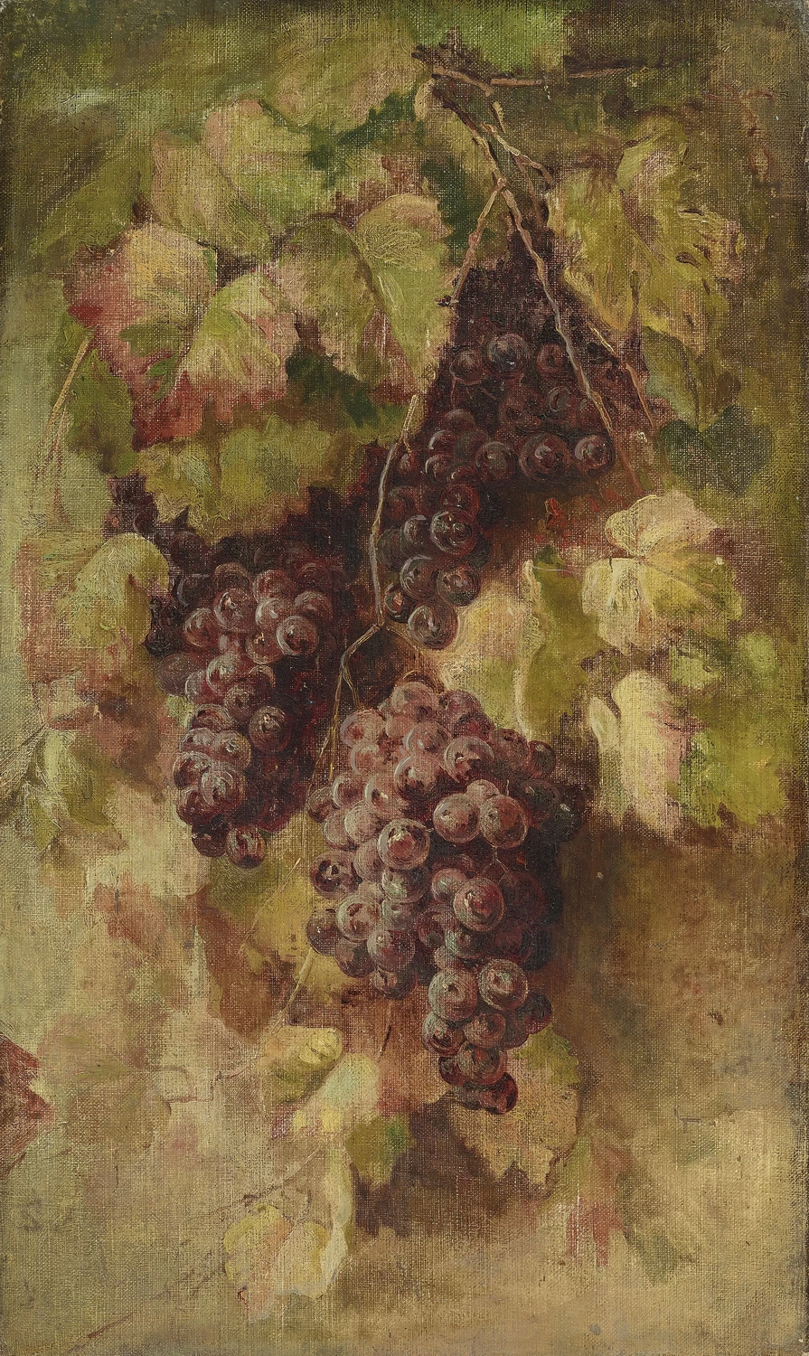 Natura morta con grappoli d'uva [1880 - 1882 circa]